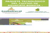 Paquete Tecnologico Aguacate Boavita