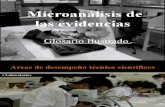 Microanalisis de Las Evidencias (Indicios)