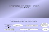 Intoxicacion Gases 2013