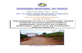 Resumen Ejecutivo - Pip Carretera Gavilan Pto Bermudez