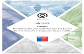 Meft Chile - Identificación y Caracterización Del Sector Comercio Justo y Consumo Responsable 2015 - Anexos