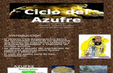 Ciclo Del Azufre - Copia