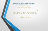 EXPOSICION CANALES.ppt