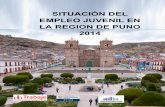 Situacion Laboral de Jovenes en La Region de Puno
