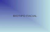 Biotipo Facial