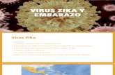 Virus Zika y Embarazo