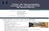 Taller de Necesidades Humanas y Diagnósticosahora Sii (1)