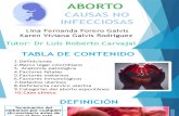 Aborto No Infeccioso