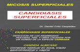 Micosis Superficiales Candidiasis Dr Daniel