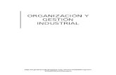 Organización y gestión industrial 002.docx