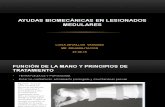 Ayudas Biomecanicas en Lesionados Medulares