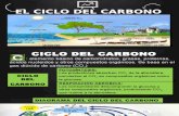 Ciclo Del Carbono Presentacion