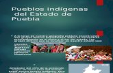 Pueblos Indígenas en Puebla