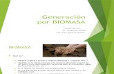 Generación Biomasa