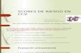 Scores de Riesgo en Ccv