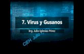 7 Virus y Gusanos