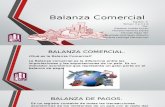 Balanza Económica.pptx