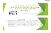 02. Procedimientos Operativos Estándar de Sanitizacion (Ssop)