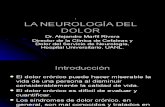 Neurología Dolor Crónico