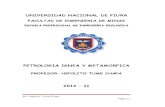 Petrologia Ignea y Metamorfica Ciclo 2012 II Setiembre ,- Diciembre