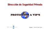144436938 Proteccion a VIPs