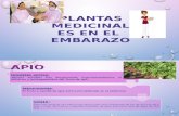Exposicion Plantas Ginecologicas y Obstetricas