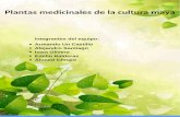 Catalogo de plantas medicinales de Yucatán