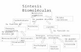 3°MEDIO(Síntesis biomoléculas, Célula, Tejido, Membrana celular  2016   1er Sem