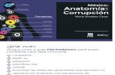 2015 Presentacion Anatomia Corrupcion