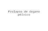 Prolapso de Órgano Pélvico