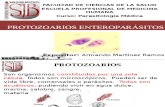 Protozoos Enteroparasitos i