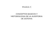 M1 Conceptos Basicos Auditoria Informatica