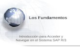 Acceso SAP