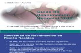 Neonatologia. Guias de Reanimacion Neonatal