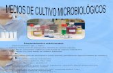 Clase de Medios de Cultivo Microbiologico