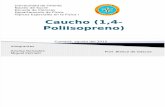 Caucho (Poliisopreno)