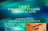 TEST PROYECTIVOS GRÁFICOS.pptx