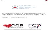 Recomanacions ERC-2015 Resum-executiu Traduccio-Oficial CCR