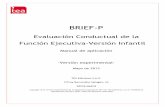 BRIEF-P_ Manual Experimental