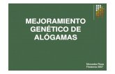 MEJORA GENETICA DEL MAIZ.pdf