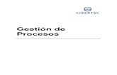 Manual de gestión de procesos Cibertec