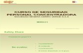 Seguridad SMCV Curso 2006 Modulo 4 Proceso RCA HFACS