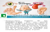 Exposicion organos de los sentidos (1).ppt