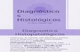 Oncología - Diagnostico Histopatologico