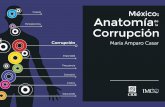 Anatomía de La Corrupción