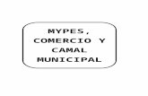 Mypes descriptivo 2016.docx