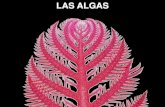 1406 - Las Algas