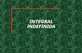 Calculo de Integral Indefinida
