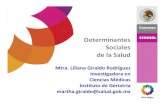 Determinantes_Sociales Indesol 2011