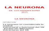 9 La Neurona